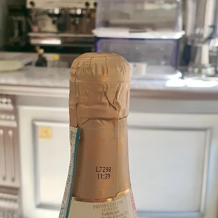 酒店 蒙帝亚酒店 米兰